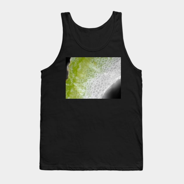 Carrot stem cells under the microscope Tank Top by SDym Photography